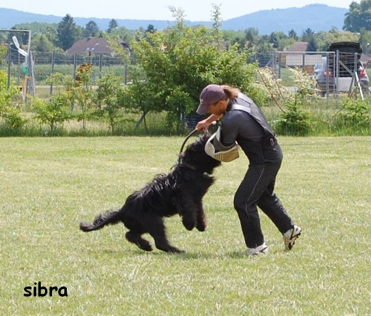 Ďakujeme za vzornú reprezentáciu!!!