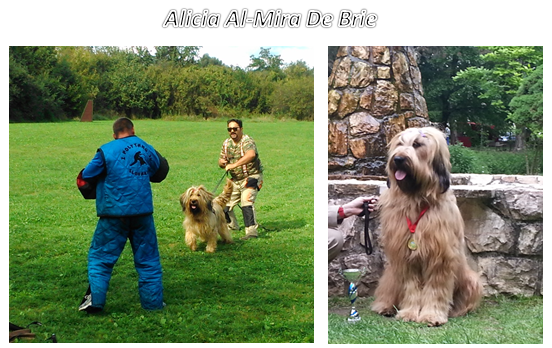 Alicia AL-MIRA de Brie